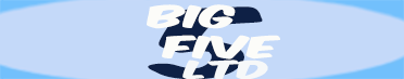 big_five_ltd_footer_logo